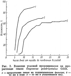 Особенности прорастания семян клюквы