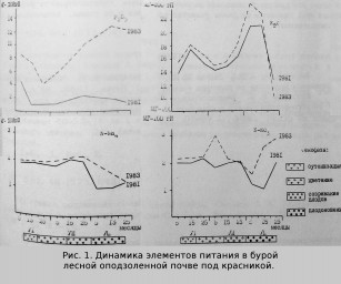Динамика основных элементов питания в почве под красникой